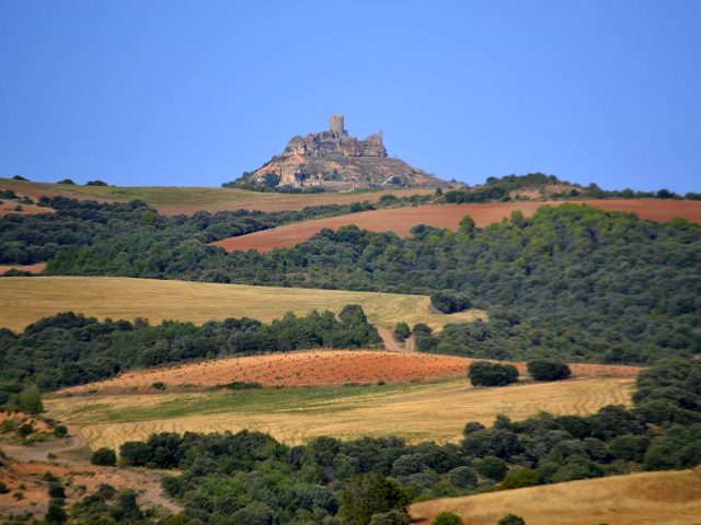 Oficina de turismo Viacamp